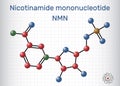 Nicotinamide mononucleotide, NMN molecule. It is naturally anti-aging metabolite, precursor of NAD+. Molecule model. Sheet of Royalty Free Stock Photo