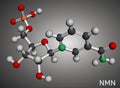 Nicotinamide mononucleotide, NMN molecule. It is naturally anti-aging metabolite, precursor of NAD+. Molecular model. 3D rendering Royalty Free Stock Photo