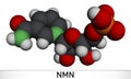 Nicotinamide mononucleotide, NMN molecule. It is naturally anti-aging metabolite, precursor of NAD+. Molecular model. 3D rendering Royalty Free Stock Photo
