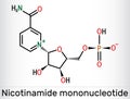 Nicotinamide mononucleotide, NMN molecule. It is naturally anti-aging metabolite, precursor of NAD+. Skeletal chemical formula Royalty Free Stock Photo