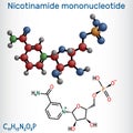 Nicotinamide mononucleotide, NMN molecule. It is naturally anti-aging metabolite, precursor of NAD+. Structural chemical formula, Royalty Free Stock Photo