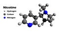 Nicotine 3D structure