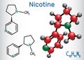 Nicotine molecule, is alkaloid , found in the nightshade family