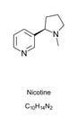 Nicotine molecule skeletal formula