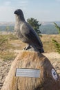 Nida, Neringa AUGUST 19, 2023. Lithuania. Scultpre of the eagle