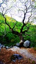 Nidri waterfalls in Lefkada ionian island in Greece