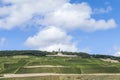 Niederwald memorial with vineyards in the Rhine valley