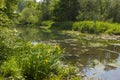 Niers River, Geldern, Germany Royalty Free Stock Photo