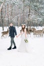 Niewlyweds are walking in the snowy forest. Side view. Deer herd on the background. Winter wedding