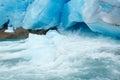 Nigardsbreen Glacier (Norway) Royalty Free Stock Photo