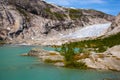 Nigardsbreen glacier in summer, Norway