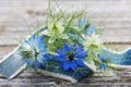 Nigella blossoms Royalty Free Stock Photo