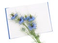 Nigella damascena aka Love-in-a-mist flowers on notebook. Memory Royalty Free Stock Photo