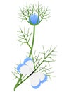 Nigella damask branch with a butterfly on a white background.