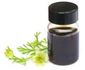 Nigella flower and essential oil in a glass bottle Royalty Free Stock Photo