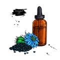 Nigella sativa essential oil bottle hand drawn vector illustration. Black cumin plant drawing