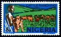 Stamp printed in Nigeria showing Cattle ranching, circa 1973