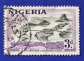 1953 Nigeria 3d \