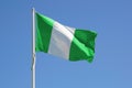 Nigeria full flag Royalty Free Stock Photo