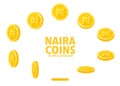 Nigeria Naira sign gold coin isolated on white background.