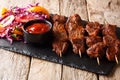 Nigerian barbecue: suya on skewers with fresh vegetable salad an Royalty Free Stock Photo
