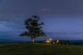 At night abandoned tree on hill at dark sunset with rising moon in full moon over horizon between nature and landscape overlooking Royalty Free Stock Photo