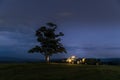 At night abandoned tree on hill at dark sunset with rising moon in full moon over horizon between nature and landscape overlooking