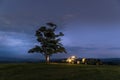 At night abandoned tree on hill at dark sunset with rising moon in full moon over horizon between nature and landscape overlooking