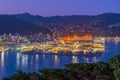 Night aerial view of container port in Wellington, New Zealand Royalty Free Stock Photo