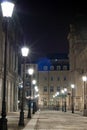 Night alley lights Royalty Free Stock Photo