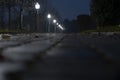 Night alley in park illuminated with street lamps.Grunge background. Royalty Free Stock Photo