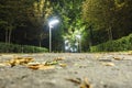 Night Alley Park Royalty Free Stock Photo