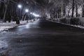 Night alley in winter season. Street cityscape. Evening scene. Winter town.