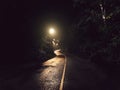 Night asphalt curve road in the light of the lanterns