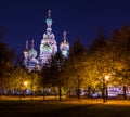 Church of Savior on Blood and Mikhailovsky Garden at night