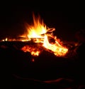 Night beach fire Royalty Free Stock Photo