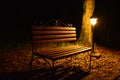 Night bench