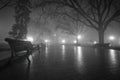 Night black and white scene of empty branches near Opera theater