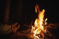 Night bonfire in tourist camp and legs of traveler. Tourism concept