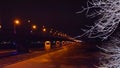 Night bridge across the river night lights winter and frozen river branches in the snow Royalty Free Stock Photo