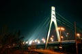Night Bridge ,Kiev ,Ukraine Royalty Free Stock Photo