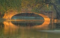 Night bridge in a park