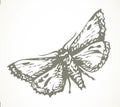 Night butterfly. Vector drawing icon Royalty Free Stock Photo