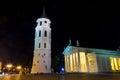 Night cahtedral at Vilnius