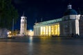 Night cahtedral at Vilnius