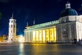 Night cahtedral at Vilnius Royalty Free Stock Photo