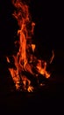 Night camp fire Royalty Free Stock Photo