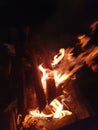 night campfire