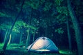 Night camping in foliar forest