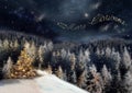 Night christmas forest Royalty Free Stock Photo